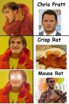 Crisp Rat.jpg